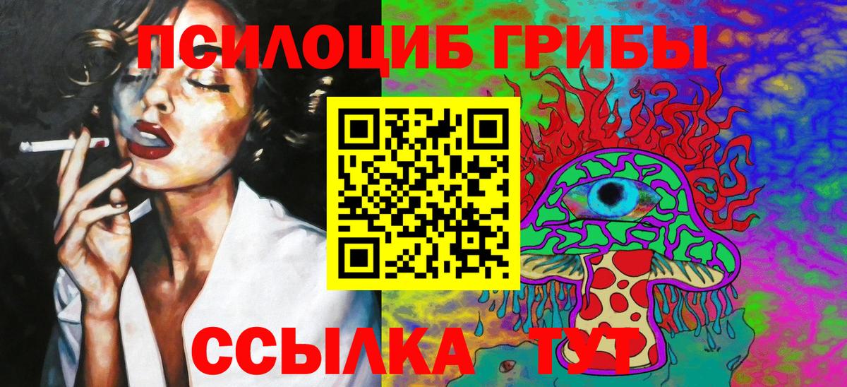 Галлюциногенные грибы Cubensis Кизляр